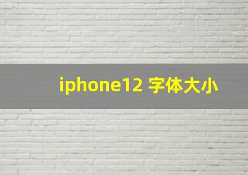 iphone12 字体大小